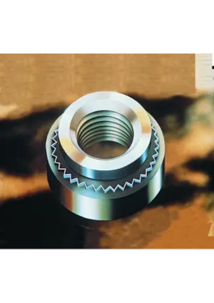 Tırnaklı Somun Perçini Kendiliğinden Perçinlenen Somunlar M6X1.0 x 3 100 Adet
