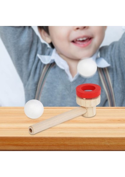 Suntek Toplar Üfleme Oyuncaklar Yüzen Top Oyunu Oyuncak, (Yurt Dışından)
