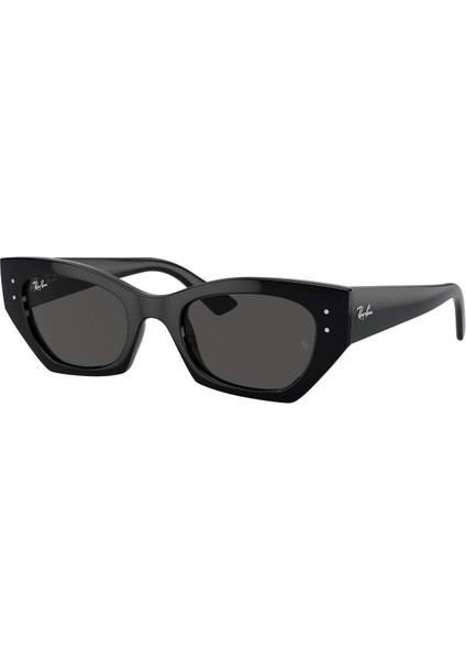 0RB4430 667787 49 Unisex Güneş Gözlüğü