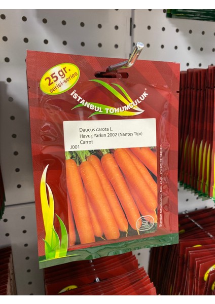 Havuç Yarkın 2002 (Nantes Tipi) Carrot (Daucus Carota L.)