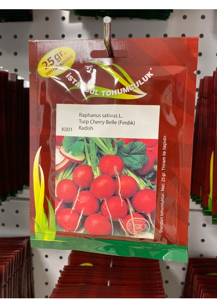 İstanbul Tohumculuk Turp Cherry Belle (Fındık) Radish (Raphanus Sativus L.)