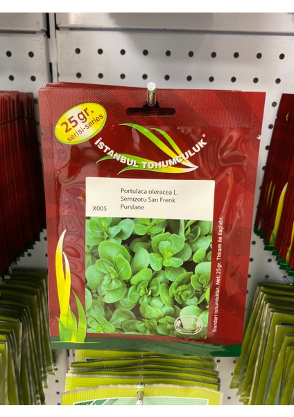 Semizotu Sarı Frenk Purslane (Portulaca Oleracea L.)