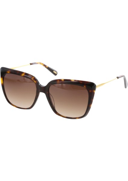 OS3557-02 56 Kadın Güneş Gözlüğü