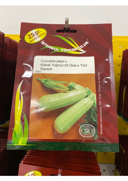 Sakız Kabak Yağmur 04 Squash (Cucurbita Pepo L.) Istanbul Tohumculuk modelleri
