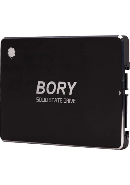 Bory R500-C256G Sata3 256 GB SSD 550/510 Mbs Harddisk