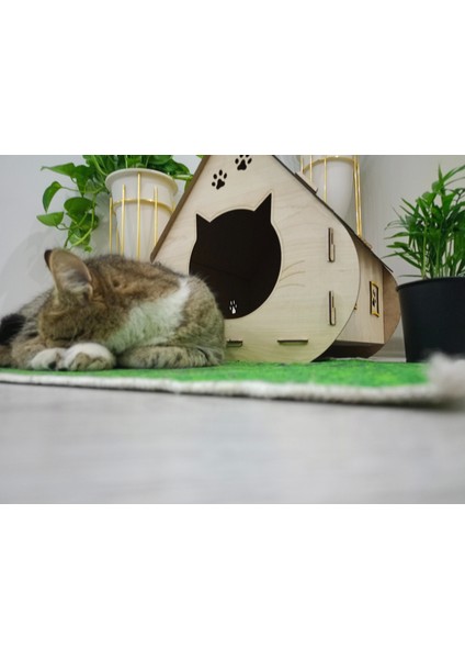 Kedi Evi Sarı Çatı M Kedi Yuvası Ahşap