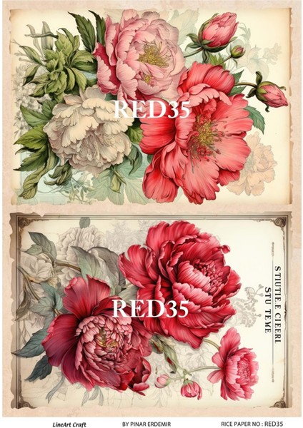 Red Serisi RED35 Kırmızı, Çiçek, Kadın Desenli Pirinç Dekopaj 30X42