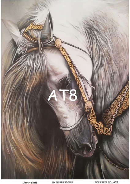 At Serisi At8 Pirinç Dekopaj 30*42 cm