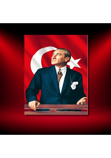Renkli Baskılı Sayılarla Boyama Hobi Seti (Çerçeveli) 40X50 Cm: Atatürk 7