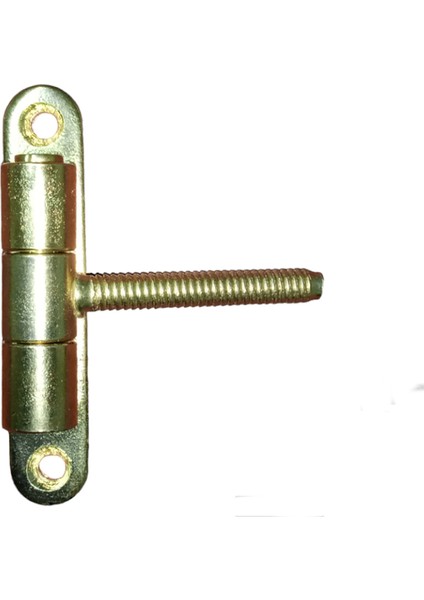 Vasistas Menteşe 141