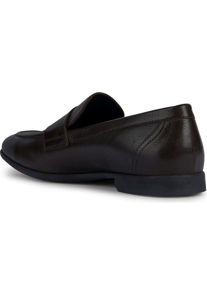 Erkek Kahverengi Sapienza Deri Loafer U35CCA00046C6006