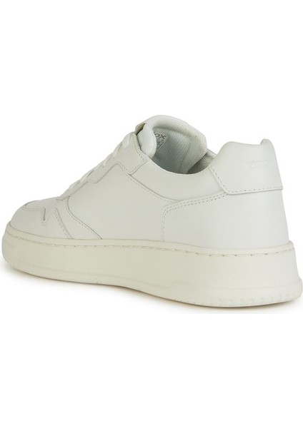Erkek Beyaz Arvier Bağcıklı Deri Sneaker
