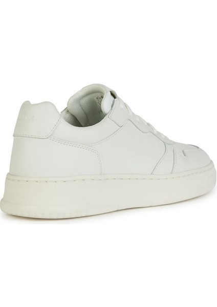 Erkek Beyaz Arvier Bağcıklı Deri Sneaker