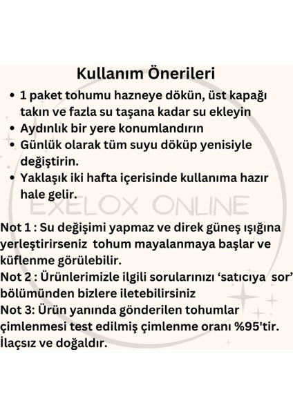 Topraksız Suda Kedi Çimi Yetiştirme Kiti