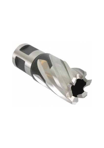 Manyetik Matkap Kısa Kesici Uç 25X17 mm