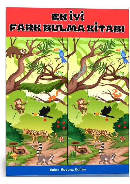 En İyi Fark Bulma Kitabı