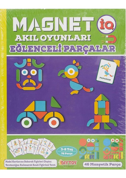 Diytoy Magnet Iq Eğlenceli Parçalar Zeka Oyunu