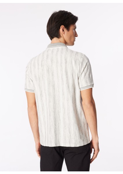 Çizgili Gri Erkek Polo T-Shirt Fc4Sm-Tst 0785 indirimleri