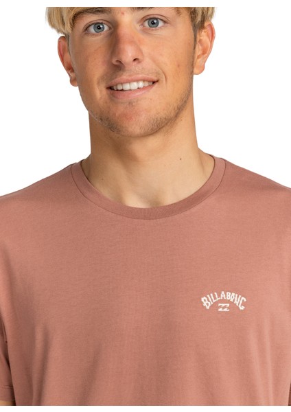 Açık Kahve Erkek Bisiklet Yaka Regular Fit T-Shirt EBYKT00100_ARCH Kttp modelleri