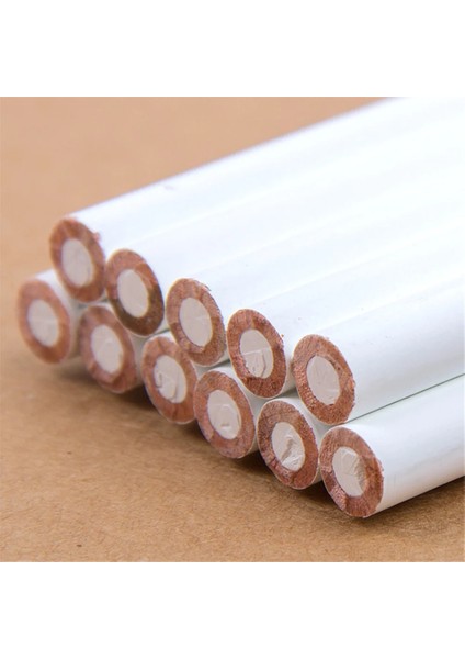 1 Adet Beyaz Stil 1 Adet Kahverengi Beyaz Kroki Kalem Profesyonel Nefes Nefese Çizim Kalem Tebeşir Toksik Olmayan Taban Pastel Sanat Vurgu Kroki Kömür Kalem (Yurt Dışından)