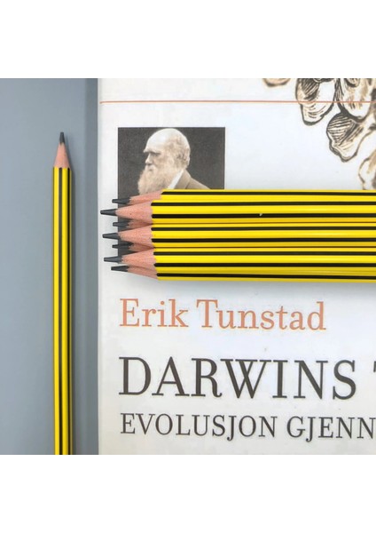 Kırmızı Stil Lot Dıy Sevimli Plastik Siyah Yeniden Doldurulmuş Dayanıklı Hb Boyama Ofis ve Okul Malzemeleri Için Çizim Kalem Şerit (Yurt Dışından) fırsatları