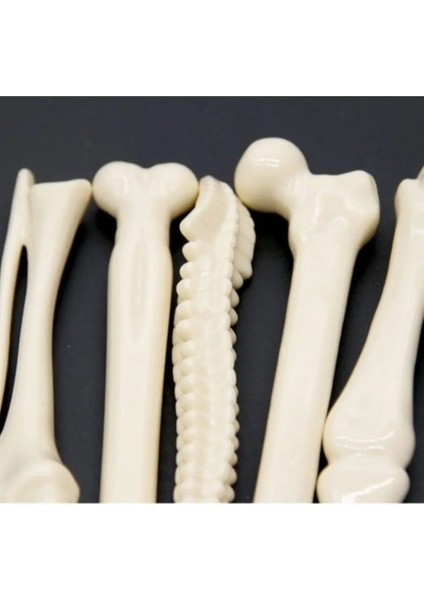 E Stili Mavi 1 Adet Yenilik Moda Kemik Şekli Tükenmez Kalem Mavi Mürekkep Dolum Yazma Topu Peool Ofis Kırtasiye Hediyeler Malzemeleri (Yurt Dışından) fırsatları