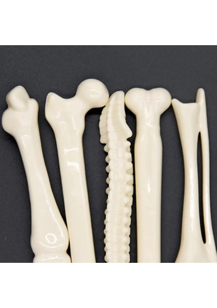 No.3 Tarzı Lot Yenilik Kemik Şekli Tükenmez Kalem Mürekkep Dolum Yazma Topu Peool Ofis Kırtasiye Hediyeler Malzemeleri (Yurt Dışından) indirimleri