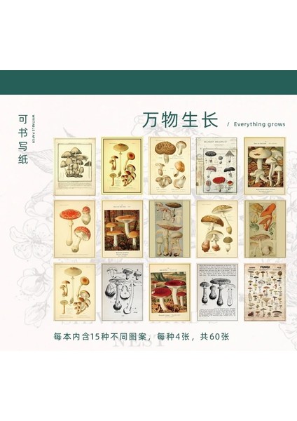 Wanwushengzhang Tarzı 60 Sayfalık Bloknotlar Yapışkan Notlar Zaman Yolculuğu Retro Kağıt Günlüğü Scrapbooking Çıkartmalar Önemsiz Dergisi Okul Kırtasiye Not Defteri (Yurt Dışından)