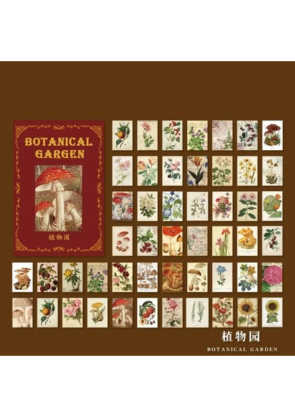 No.12 Tarzı Yaratıcı Vintage Yapraklar Yazma Not Bitkiler Çiçekler Bloknotlar Şeffaf Sülfürik Asit Kağıt Gevşek Yaprak Kağıt Notlar (Yurt Dışından)