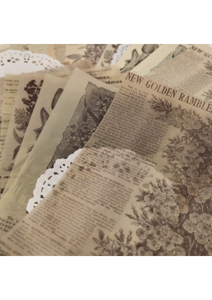 No.6 Tarzı Vintage Karışık Kağıt Kolaj Scrapbooking Dergisi Malzeme Kartı Yapımı Dıy Retro Botanik Enstitüsü Yaratıcı Memo Kırtasiye (Yurt Dışından) fırsatları