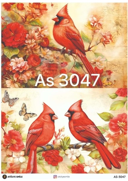 AS3047 Pirinç Dekopaj 30X42