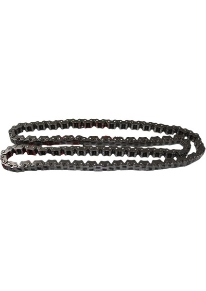 Eksantrik Zinciri Bajaj Dominar D400