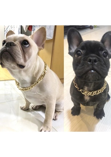 Altın Tarzı Güçlü Plastik Köpek Zinciri Tasmaları Pet Altın Büyük Pitbull Yaka Bulldog Yöntemi Mücadele Kolye Pet Giydirme Sahne Aksesuarları (Yurt Dışından) modelleri