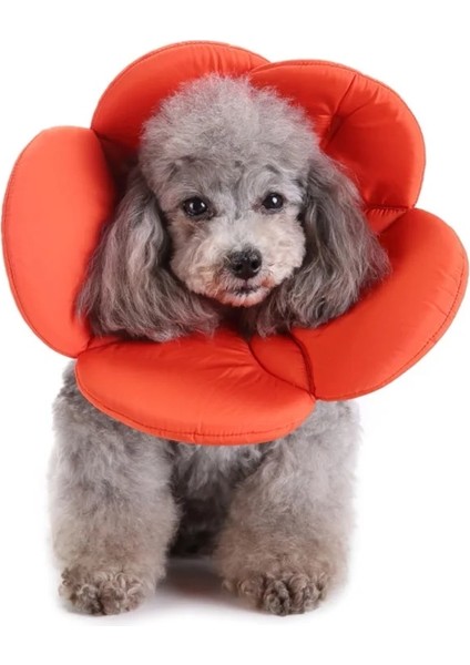 G Tarzı M Boyutu Pet Köpek Kedi Elizabeth Daire Çiçek E-Yaka Kurtarma Konisi Ayarlanabilir Boyun Kurtarma Yaka Pet Koruma Yaka Pet Için (Yurt Dışından) indirimleri