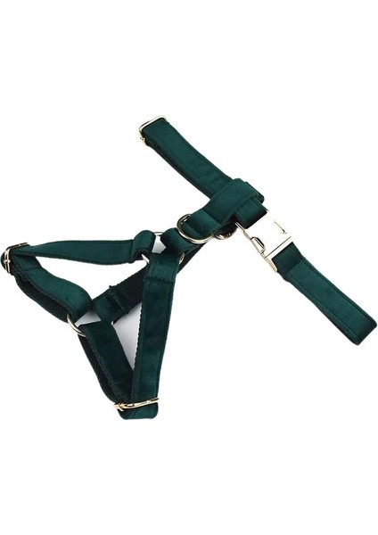 Koşum Stili L Boyutu Yeşil Kadife Köpek Yaka ve Tasma Seti Köpekler Için Özel Kazınmış Tabela Evcil Hayvan Malzemeleri Köpek Tasma VELVET43 (Yurt Dışından)
