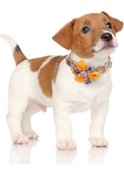 Xrq Tarzı S Beden Moda Baskılı Köpek Tasması Kişiselleştirilmiş Naylon Pet Kımlık Tasmaları Özel Köpek Kımlık Tabela Yaka Ücretsiz Gravür Çiçek Aksesuarları (Yurt Dışından) modelleri