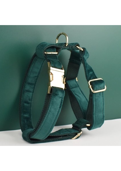 Yay Stili M Boyutu Yeşil Kadife Köpek Yaka ve Tasma Seti Köpekler Için Özel Kazınmış Tabela Evcil Hayvan Malzemeleri Köpek Tasma VELVET43 (Yurt Dışından) modelleri