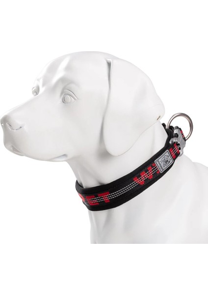 Siyah Stil Xxxl Truelove Pet Yaka En Iyi Neopren Yastıklı 3 M Yansıtıcı Köpek Tasması Büyük Orta Küçük Bonus Köpek Takip Cihazı Etiketi Özelliği YC1854 (Yurt Dışından) modelleri