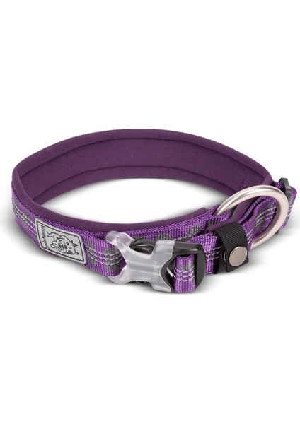 Siyah Stil Xxxl Truelove Pet Yaka En Iyi Neopren Yastıklı 3 M Yansıtıcı Köpek Tasması Büyük Orta Küçük Bonus Köpek Takip Cihazı Etiketi Özelliği YC1854 (Yurt Dışından) fırsatları