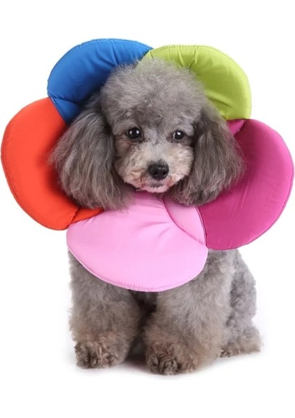 M Tarzı S Beden Pet Köpek Kedi Elizabeth Daire Çiçek E-Yaka Kurtarma Konisi Ayarlanabilir Boyun Kurtarma Yaka Pet Koruma Yaka Pet Için (Yurt Dışından) modelleri