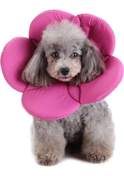 M Tarzı S Beden Pet Köpek Kedi Elizabeth Daire Çiçek E-Yaka Kurtarma Konisi Ayarlanabilir Boyun Kurtarma Yaka Pet Koruma Yaka Pet Için (Yurt Dışından) fırsatları