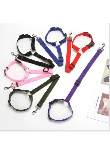 Siyah Stil Yeni Köpek ve Kedi Evcil Hayvan Güvenliği Ayarlanabilir Araba Emniyet Kemeri Kemer Kemer Seyahat Klipsi Kemer Pet Araba Emniyet Kemeri Yaka Perro (Yurt Dışından) modelleri