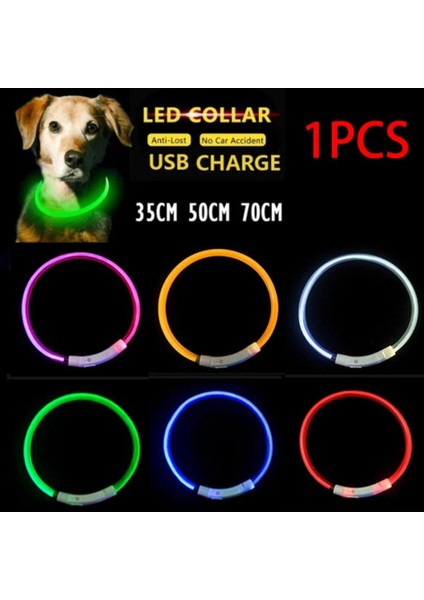 Yeşil Stil 70CM Delysia King Işıklı Köpek Tasması (Yurt Dışından) fiyatları