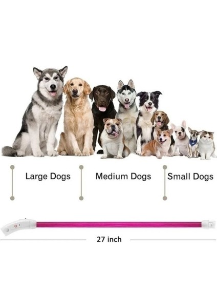 Yeşil Stil 70CM Delysia King Işıklı Köpek Tasması (Yurt Dışından) indirimleri