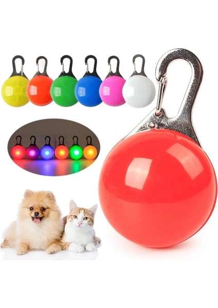 Turuncu Tarzı LED Işıklı Köpek Kedi Yaka Kolye Parlayan Charm Işıklar Gece Yürüyüş Için Renkli Güvenlik Işığı Pet Yaka Malzemeleri Aksesuarları (Yurt Dışından) fiyatları