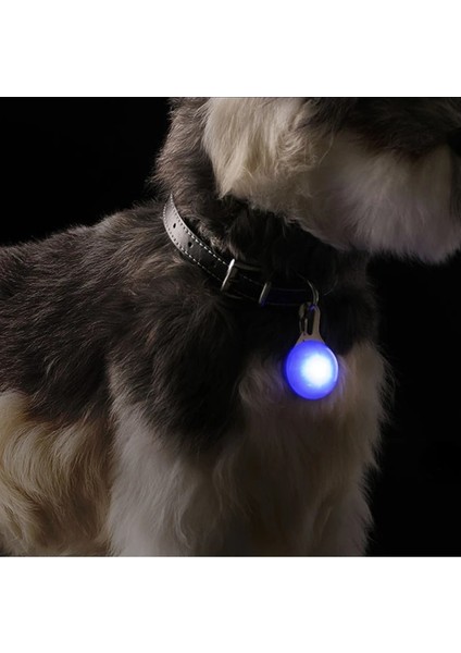 Turuncu Tarzı LED Işıklı Köpek Kedi Yaka Kolye Parlayan Charm Işıklar Gece Yürüyüş Için Renkli Güvenlik Işığı Pet Yaka Malzemeleri Aksesuarları (Yurt Dışından) fırsatları