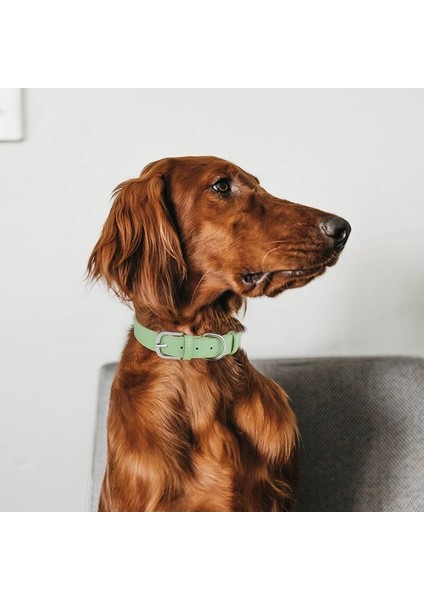 Pembe Tarzı L Boyutu Yeni Lüks Pu Deri Yaka Orta Büyük Köpekler Için Ayarlanabilir Kolye Köpek Tasması Dayanıklı Pet Kedi Köpek Pet Malzemeleri Aksesuarları (Yurt Dışından) modelleri