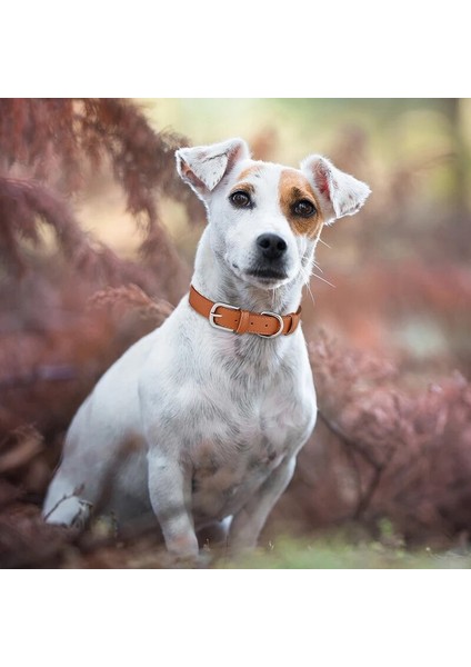 Pembe Tarzı L Boyutu Yeni Lüks Pu Deri Yaka Orta Büyük Köpekler Için Ayarlanabilir Kolye Köpek Tasması Dayanıklı Pet Kedi Köpek Pet Malzemeleri Aksesuarları (Yurt Dışından) fırsatları