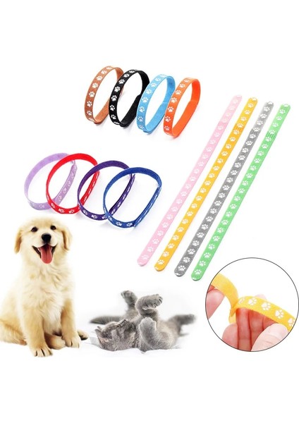 6 Adet Tarzı L Boyutu Lot Köpek Tasmaları Köpek Yavrusu Kimlik Yaka Pet Malzemeleri Yavru Kedi Whelping Kımlık Yaka Küçük Köpekler Için Klasik Bantlar (Yurt Dışından) indirimleri