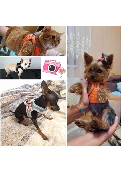 8-Mavi Tarzı L Boyutu Naylon Köpek Koşum Tasma Yansıtıcı Evcil Hayvan Koşumu Yelek Nefes Ayarlanabilir Yaka Chihuahua Küçük Büyük Köpekler Kedi (Yurt Dışından) modelleri